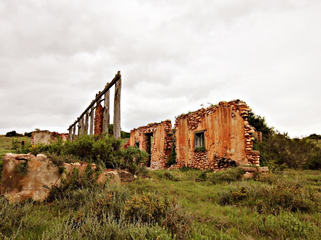 Hlosi Game Lodge - Amakhala Game Reserve Buyskloof Eksteriør bilde