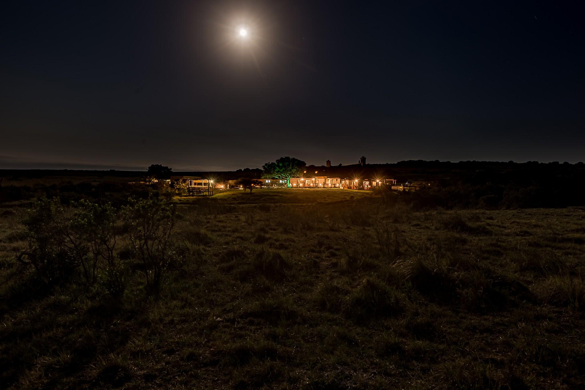 Hlosi Game Lodge - Amakhala Game Reserve Buyskloof Eksteriør bilde