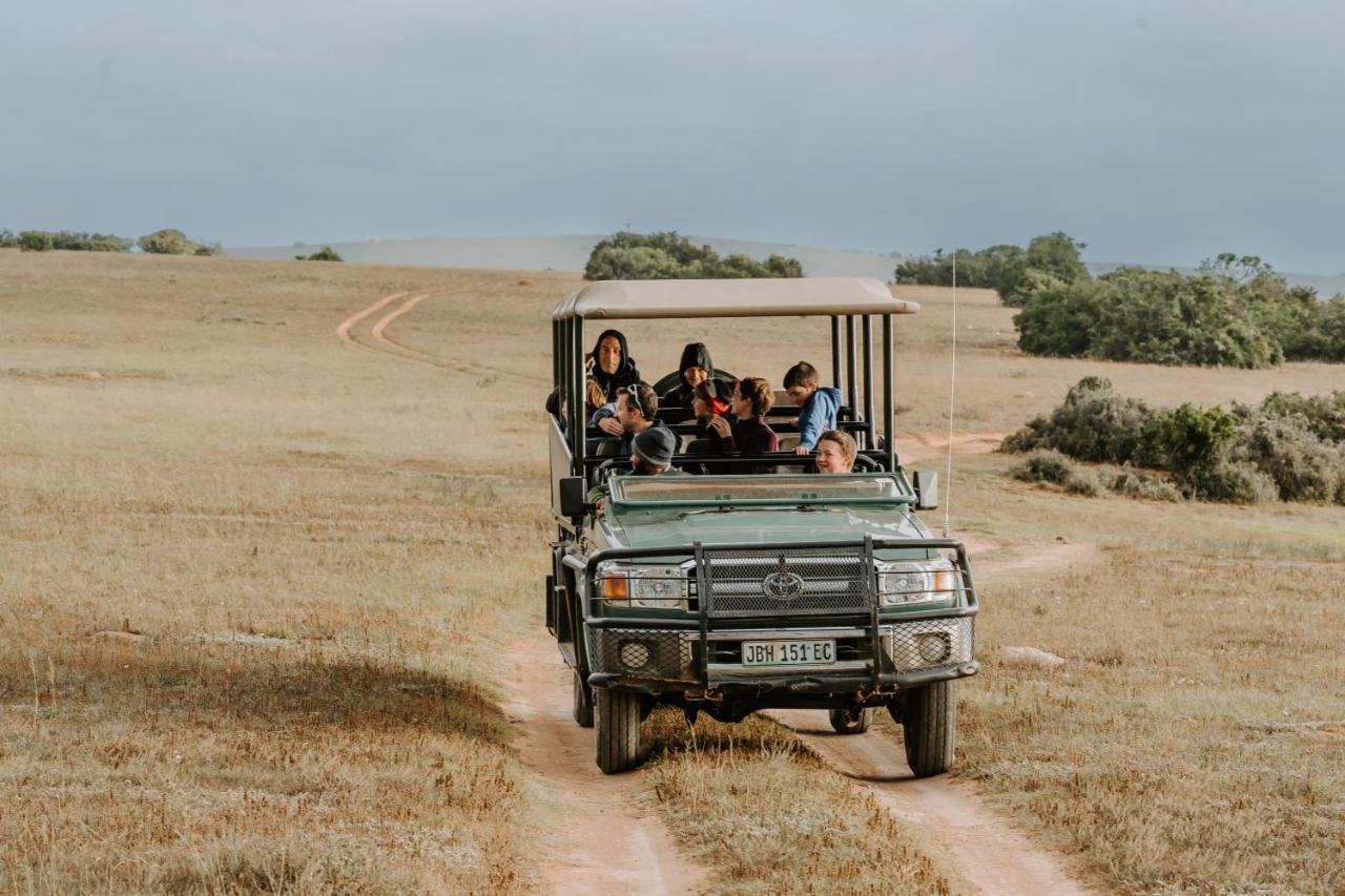 Hlosi Game Lodge - Amakhala Game Reserve Buyskloof Eksteriør bilde