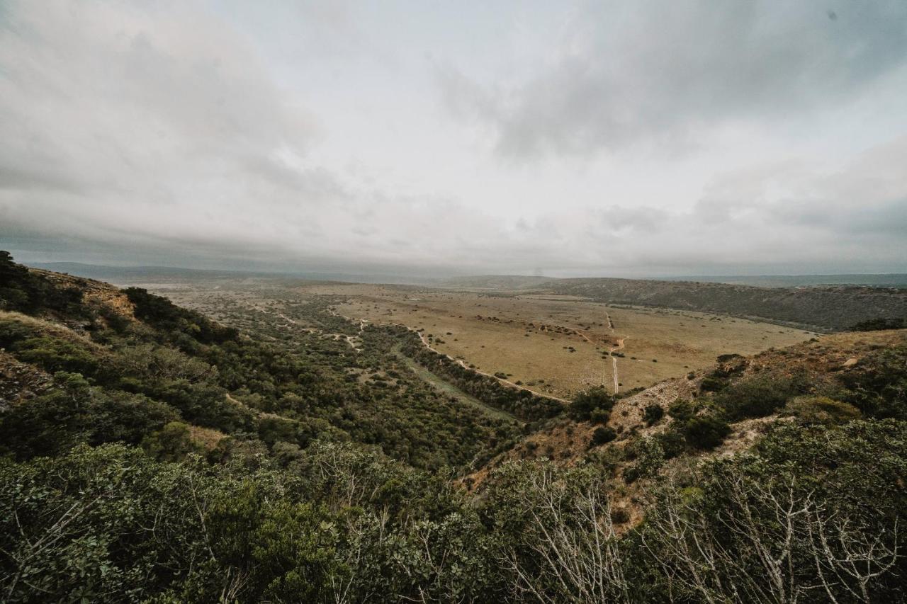 Hlosi Game Lodge - Amakhala Game Reserve Buyskloof Eksteriør bilde