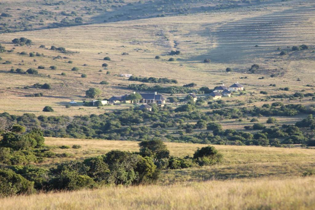 Hlosi Game Lodge - Amakhala Game Reserve Buyskloof Eksteriør bilde