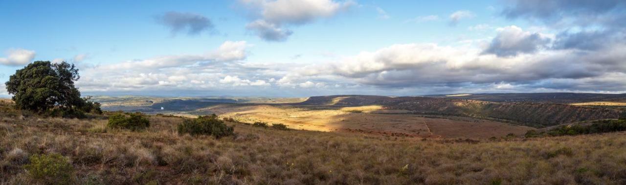 Hlosi Game Lodge - Amakhala Game Reserve Buyskloof Eksteriør bilde